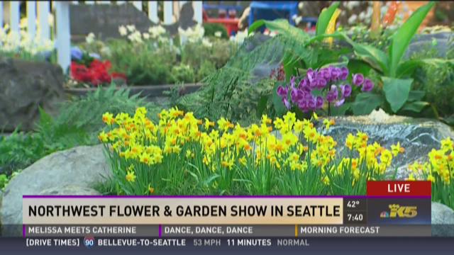 Northwest Flower And Garden Show In Bloom King5 Com