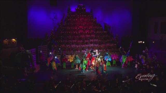 the singing christmas tree is back the singing christmas tree is back