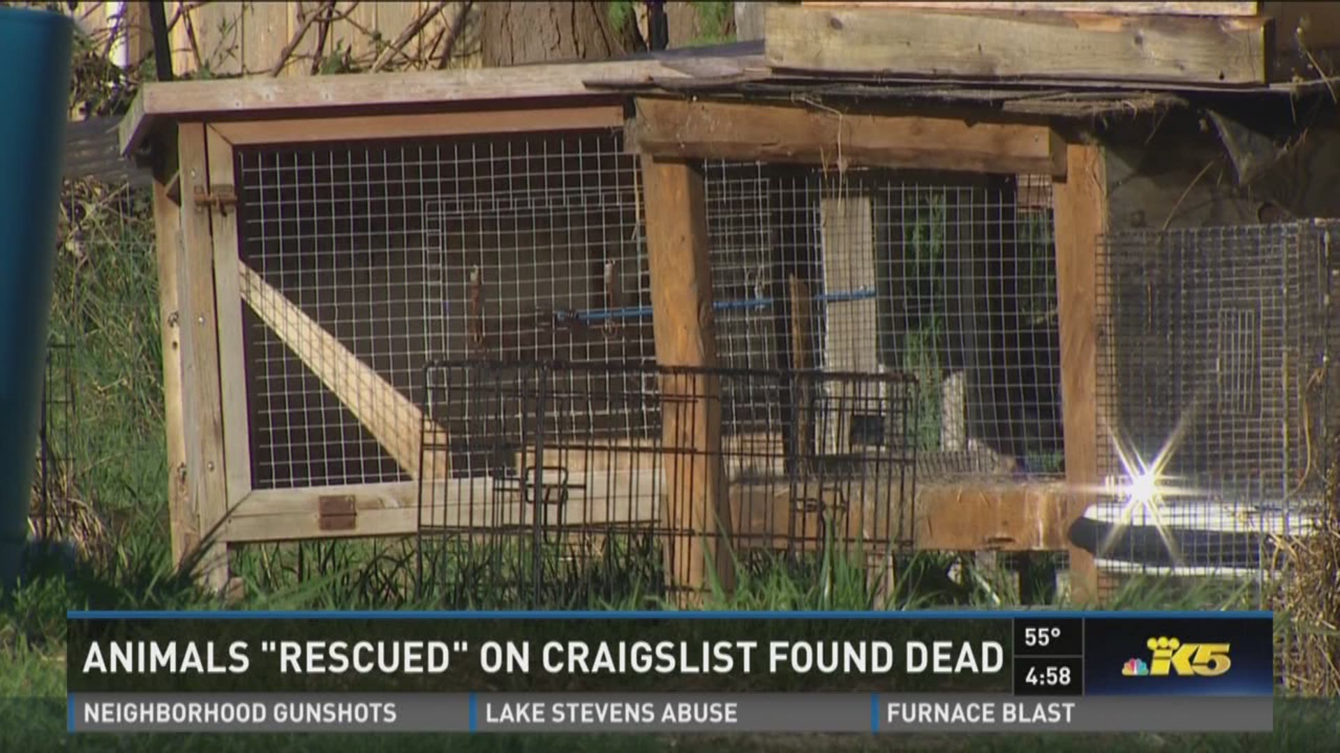 Man Arrested For Torturing Animals Found On Craigslist