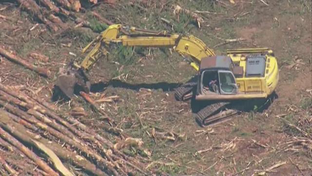 article preview image