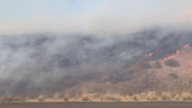 article preview image