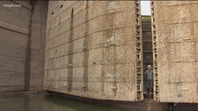 article preview image