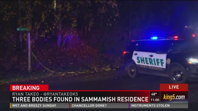 article preview image