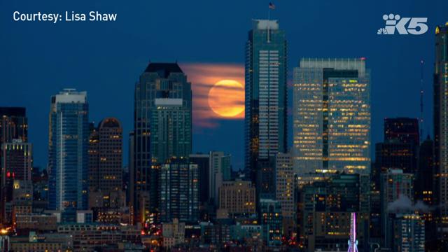 When can you see the 'wolf moon' in New Orleans? When can you see the 'wolf moon' in New Orleans?